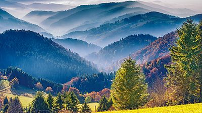 Scenic mountain landscape. View on the Black Forest in Germany, covered in fog.